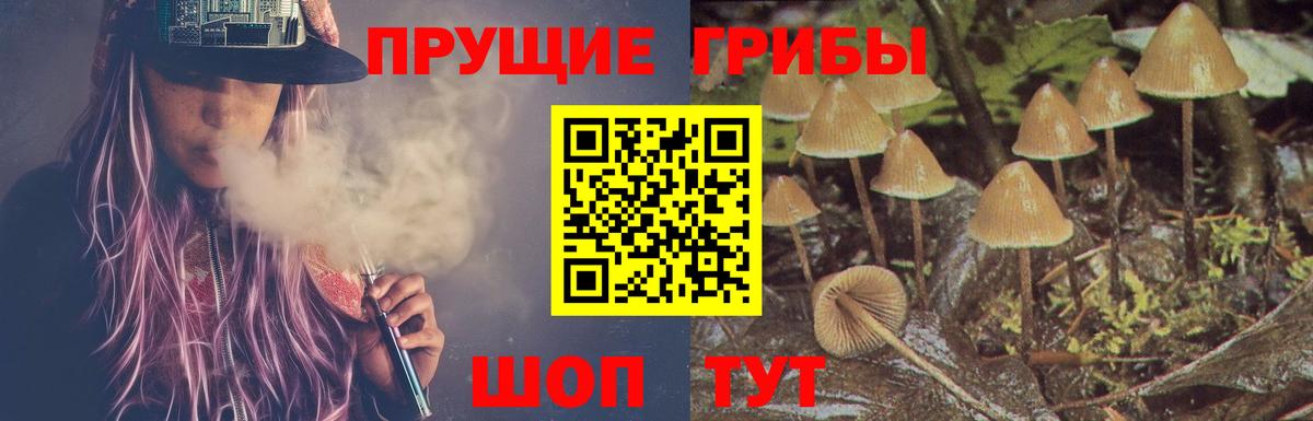 Псилоцибиновые грибы Psilocybe  Вход с VPN  хочу   Кинешма 