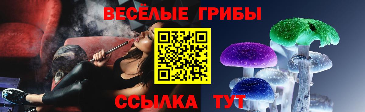 Псилоцибиновые грибы MAGIC MUSHROOMS Кинешма